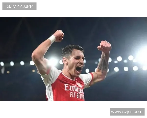 意甲赛场惊现冷门阿森纳3-0战胜波尔图战术解析引发热议